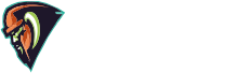Viking Production - Agence web & it 360
